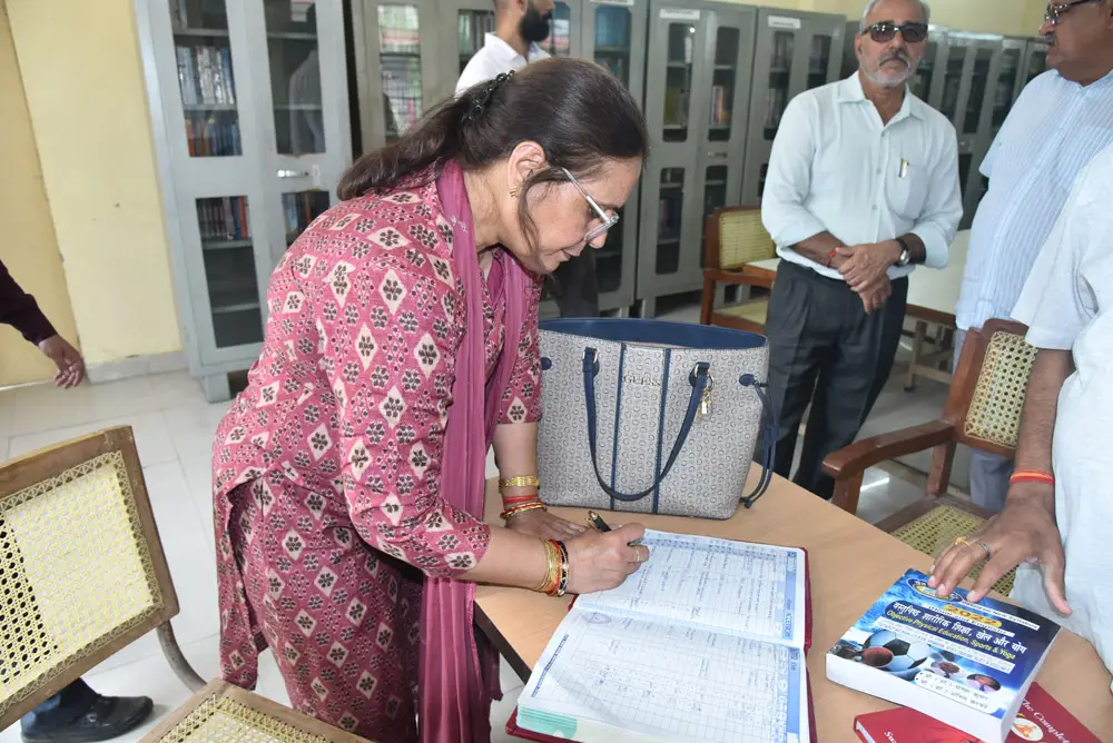 Meerut College